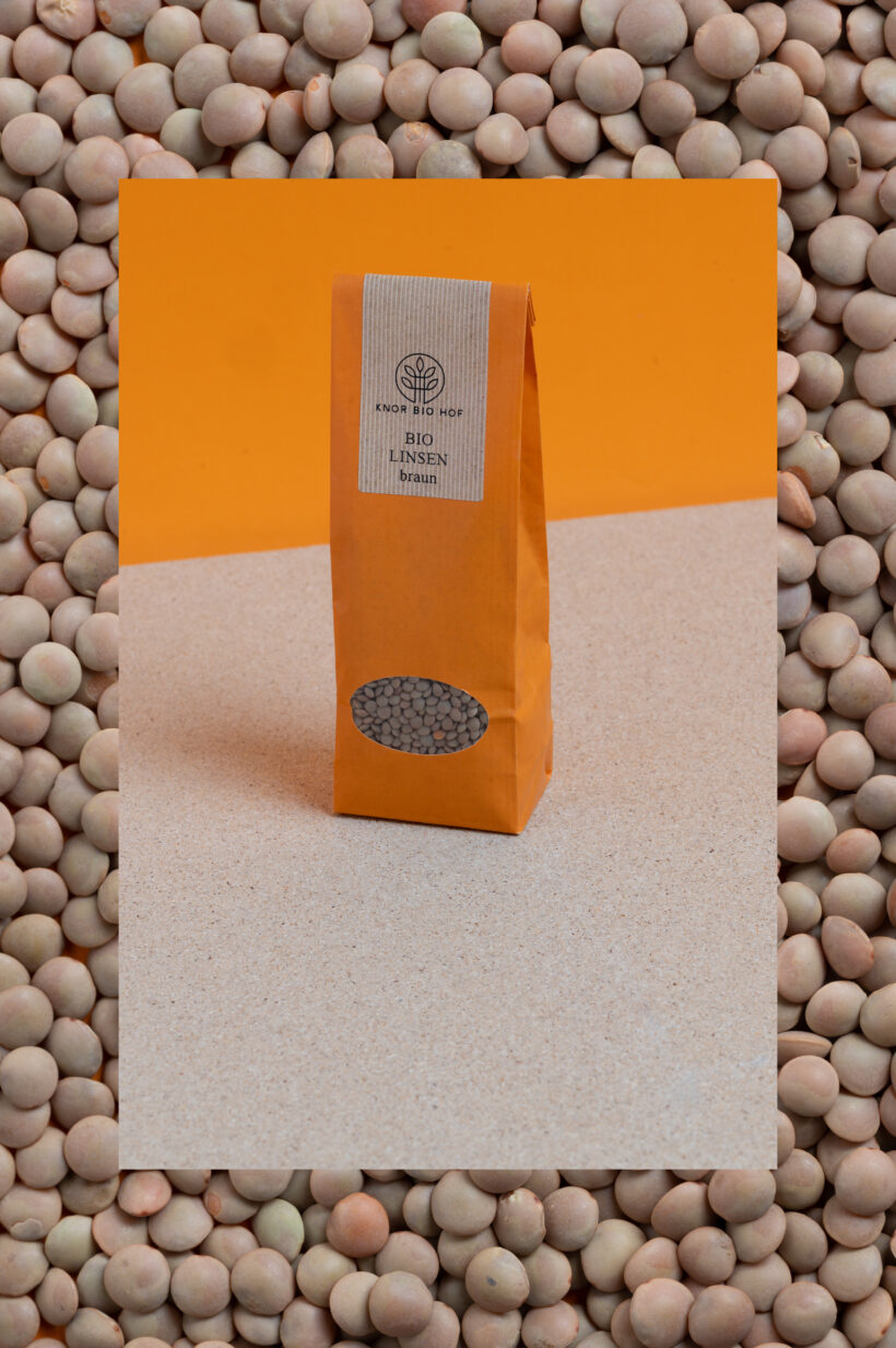 BrauneLinse2