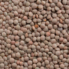 ProduktfotosKnorBiohof-861