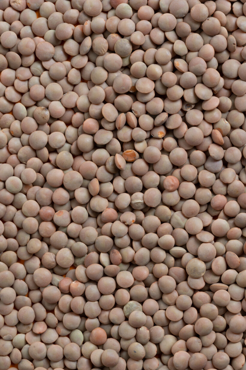 ProduktfotosKnorBiohof-861