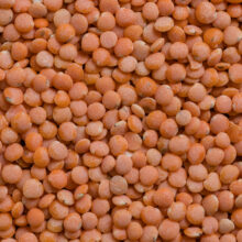 ProduktfotosKnorBiohof-864