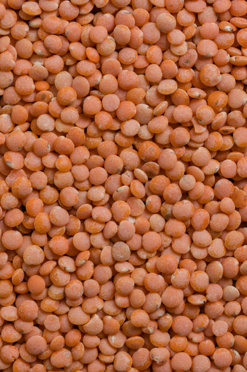 ProduktfotosKnorBiohof-864